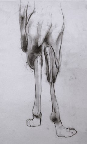 017